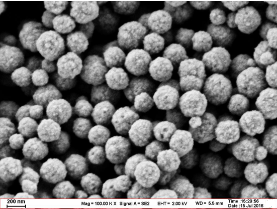 链霉亲和素磁珠Streptavidin Magnetic Particles